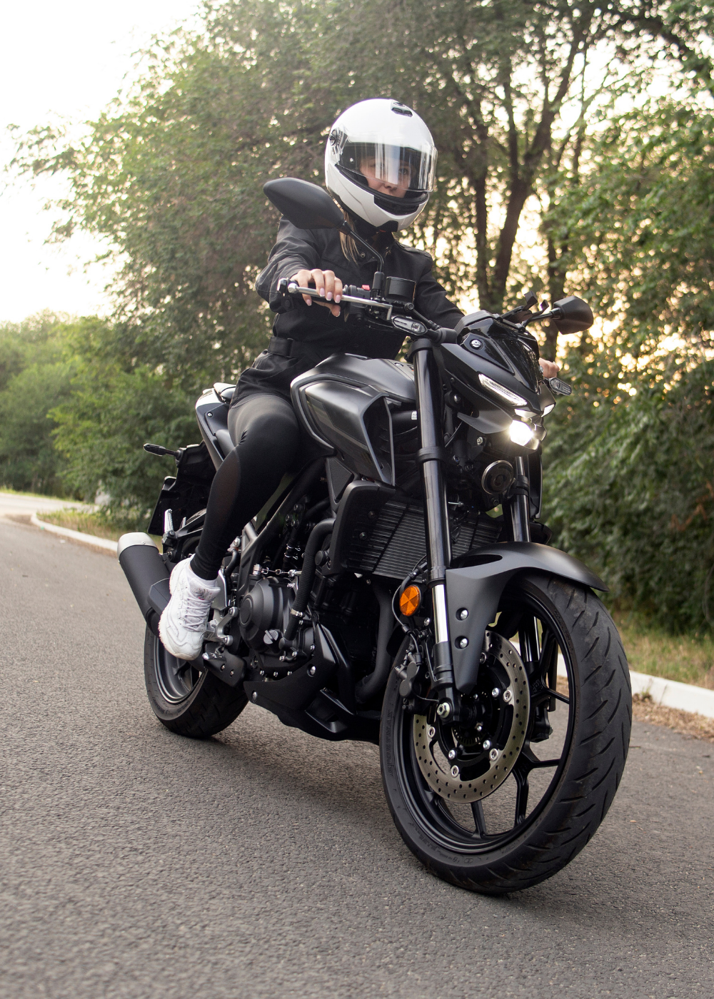 Shark Law Motorcycle Attorneys