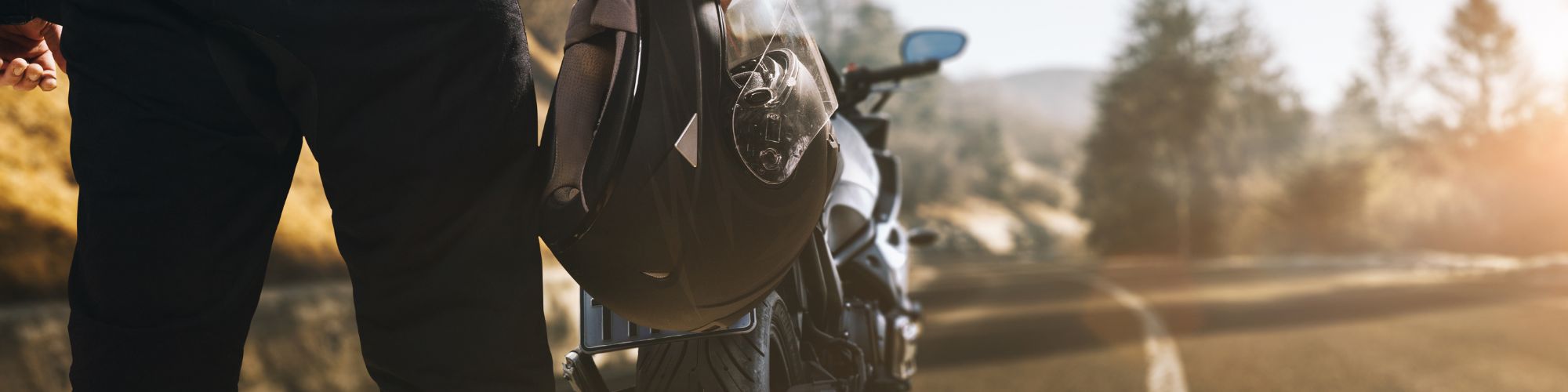 Sharklaw Banner Top2